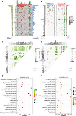 Prognostic Factors of Colorectal Cancer: A Comparative Study on Patients With or Without Liver Metastasis